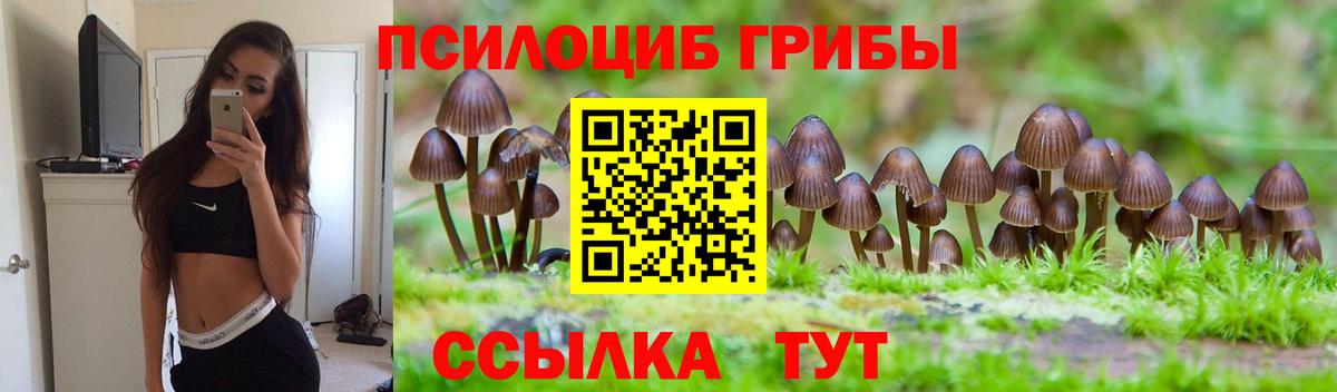 Моршанск  Псилоцибиновые грибы Psilocybine cubensis  Вход с VPN 
