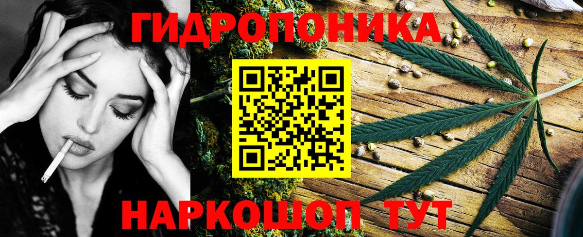 Бошки Шишки гибрид  Бошки Шишки THC 21%  Вход с VPN  Моршанск 